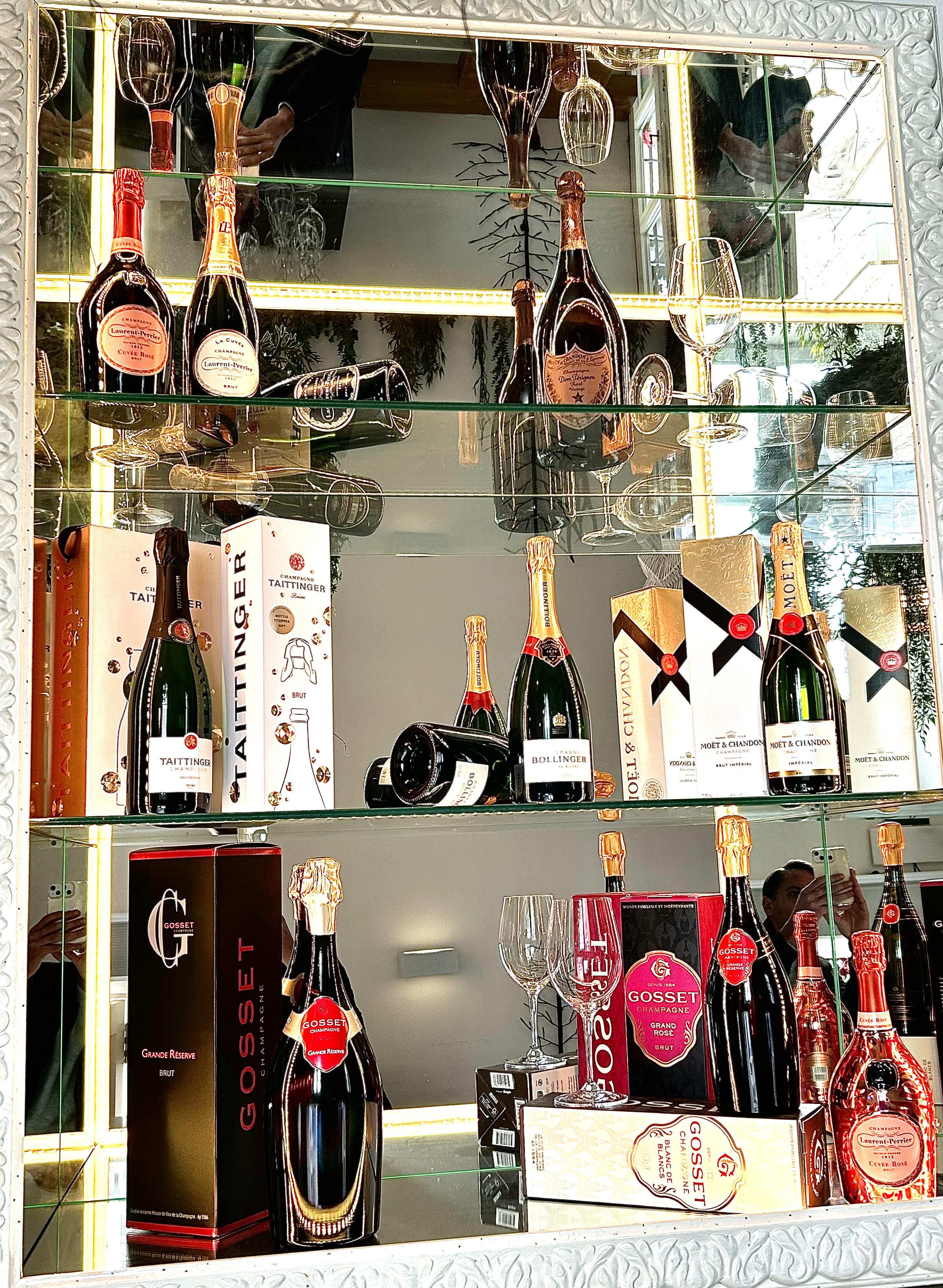 CATAS DE VINOS ESTEPONA