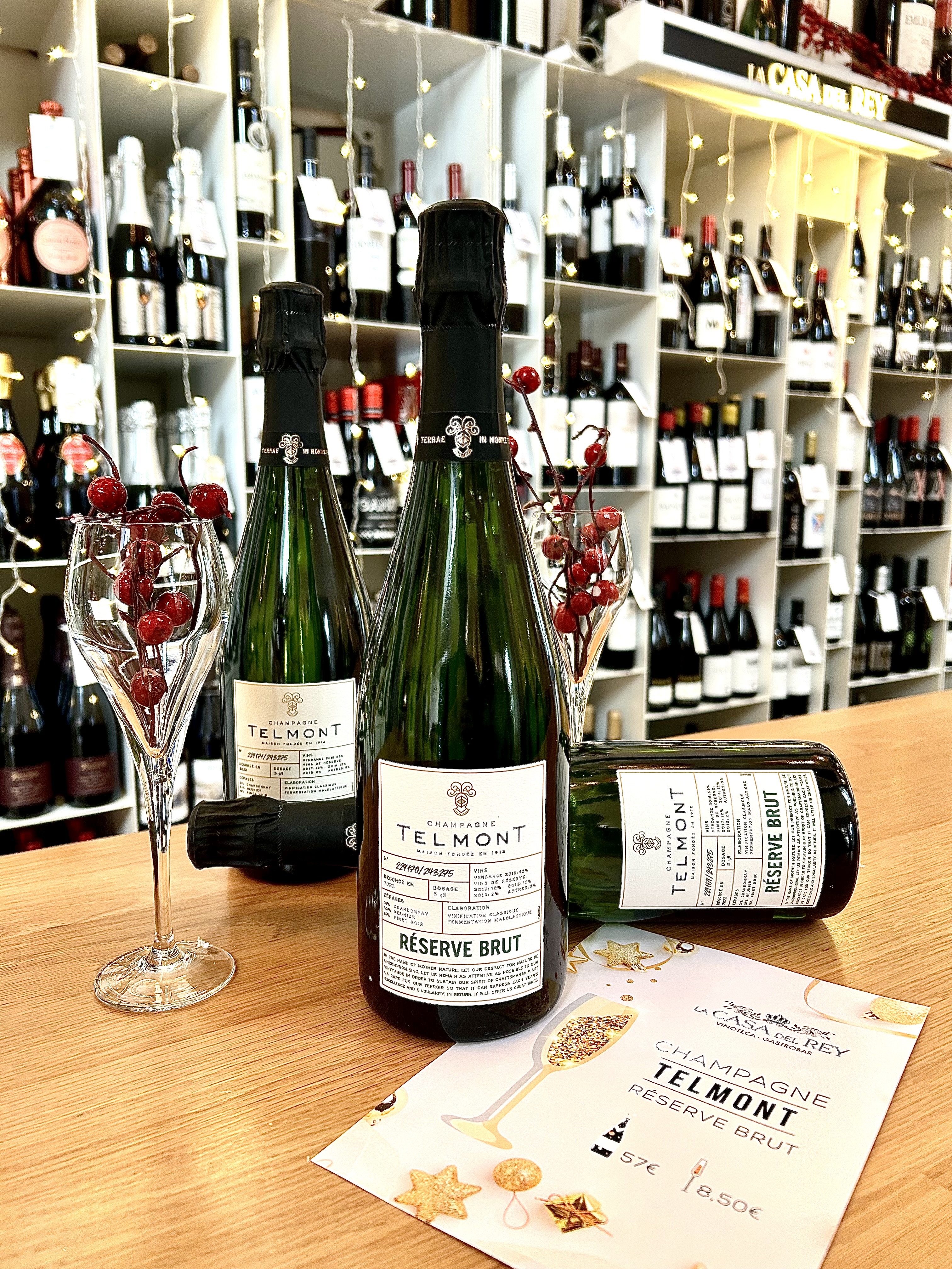 CATAS DE VINOS ESTEPONA