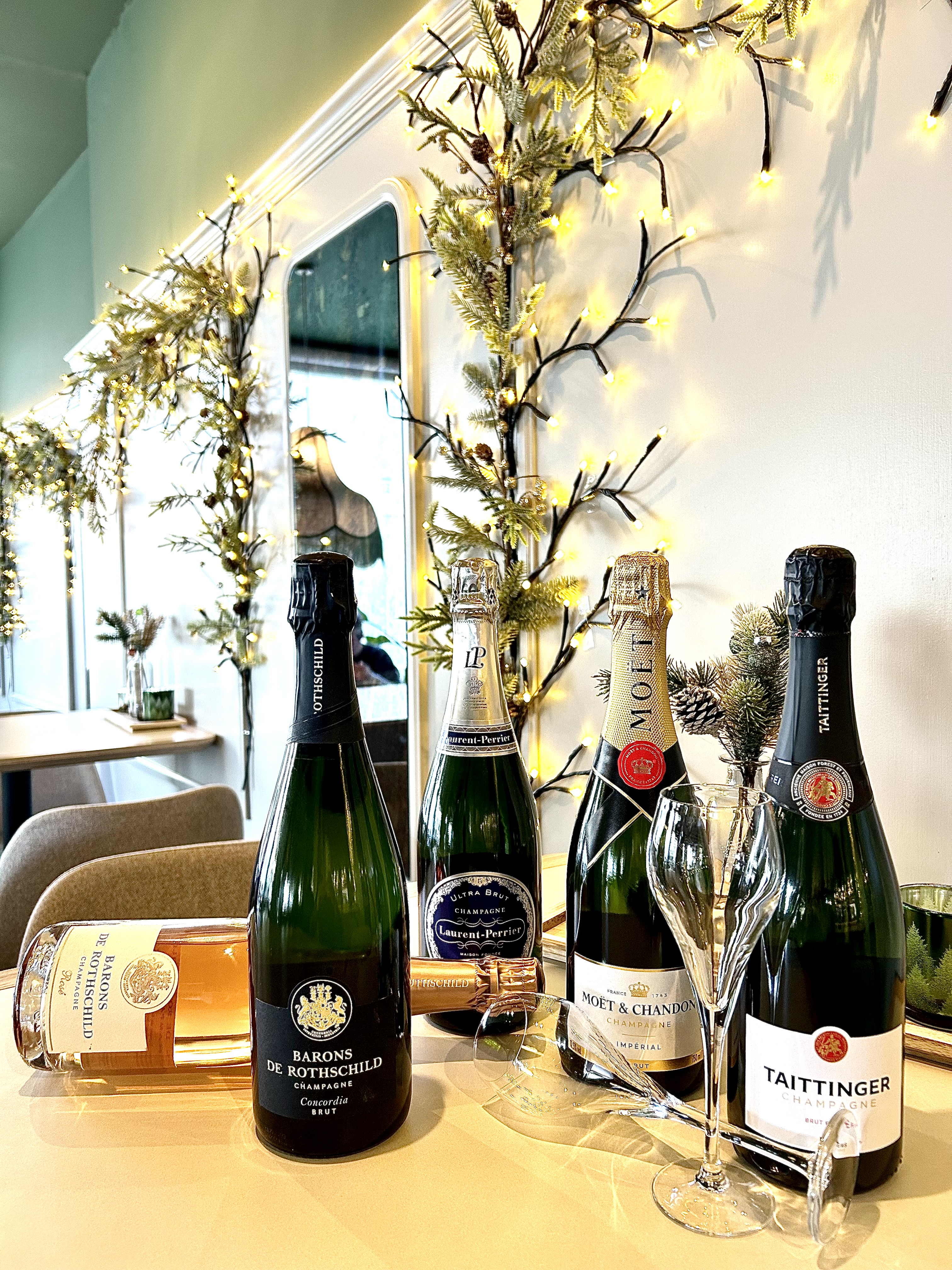 CATAS DE VINOS ESTEPONA