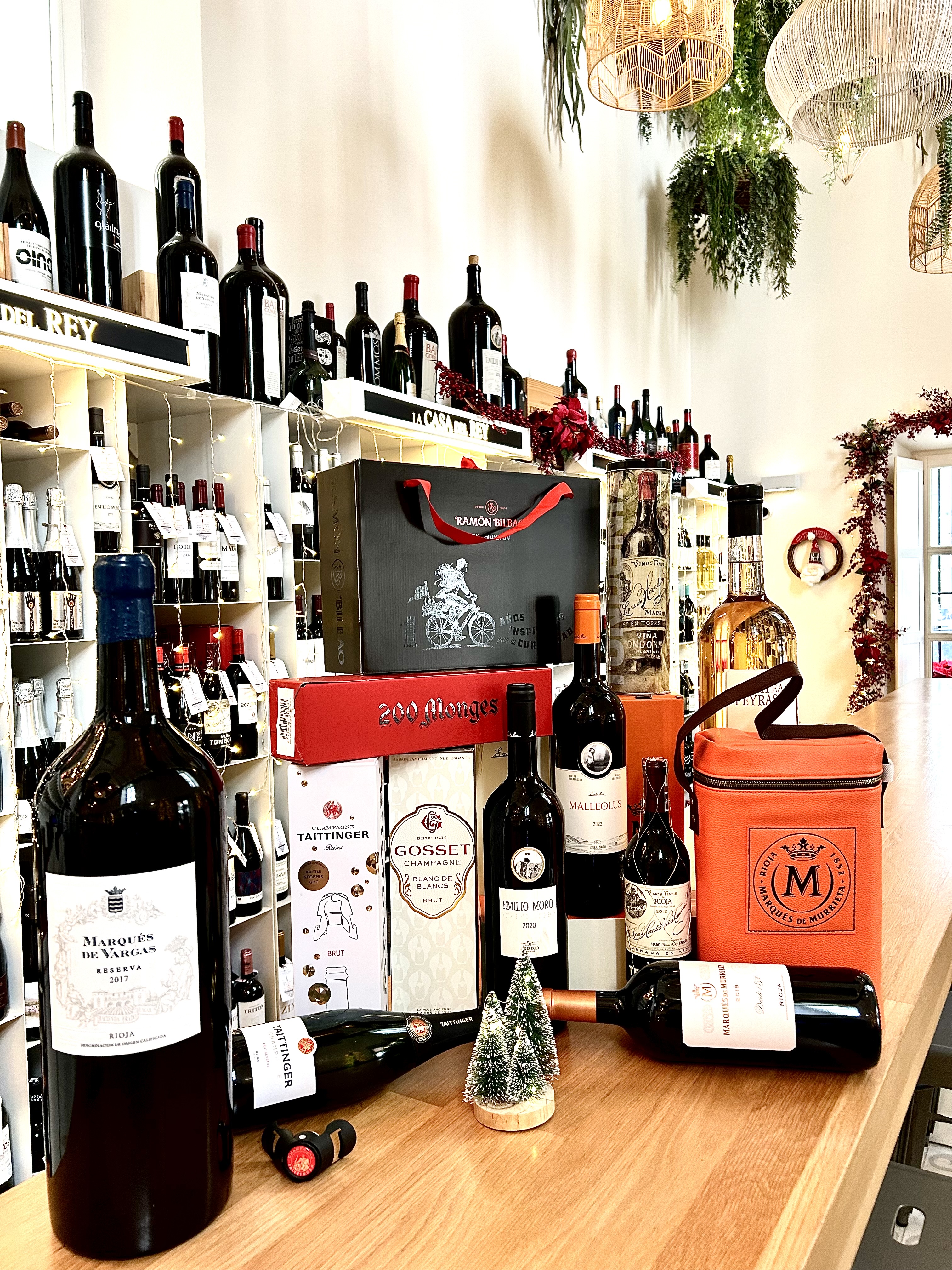 CATAS DE VINOS ESTEPONA