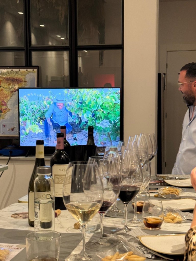 EXPERIENCIAS EN ESTEPONA