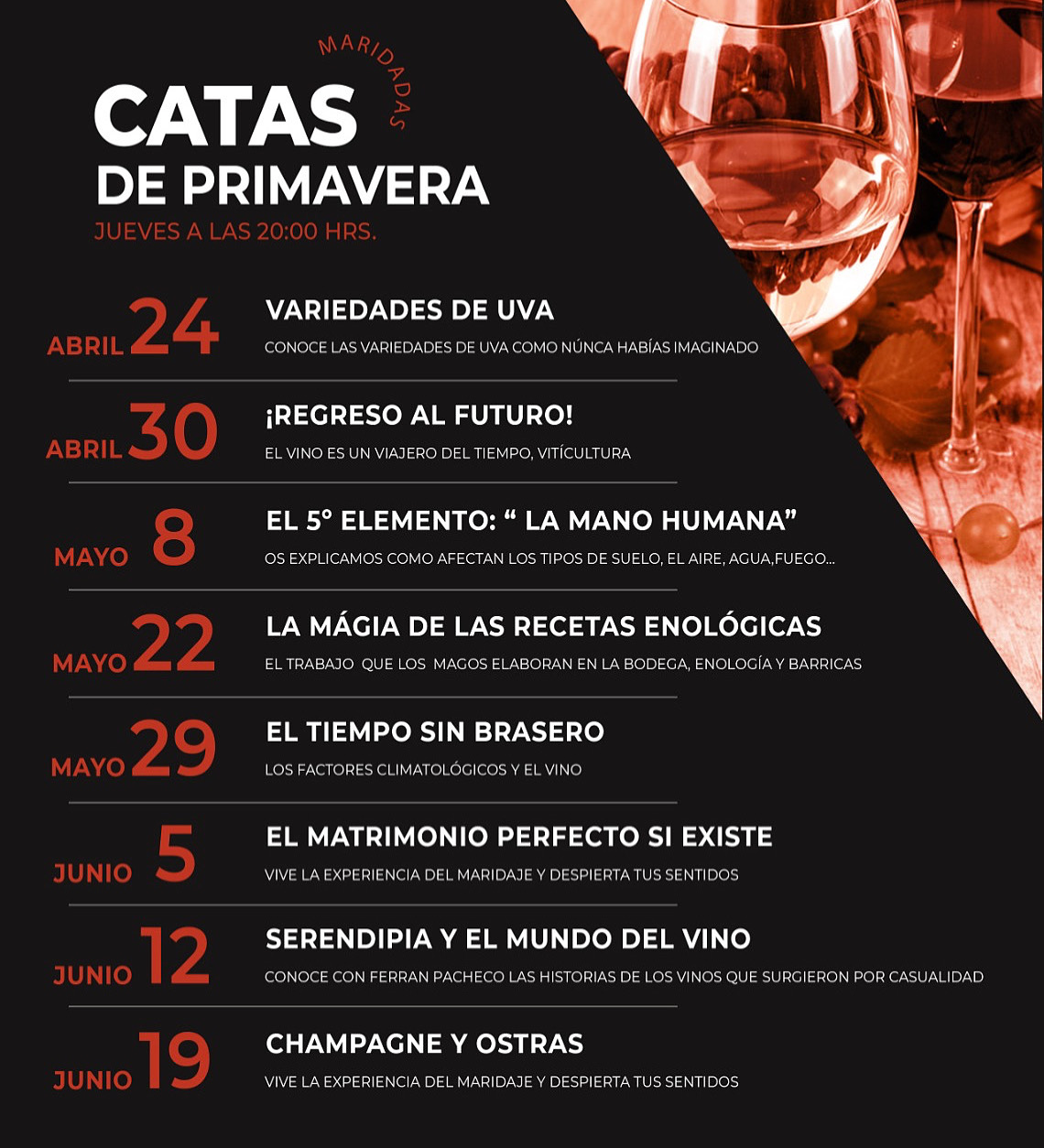 CATAS DE VINOS EN ESTEPONA
