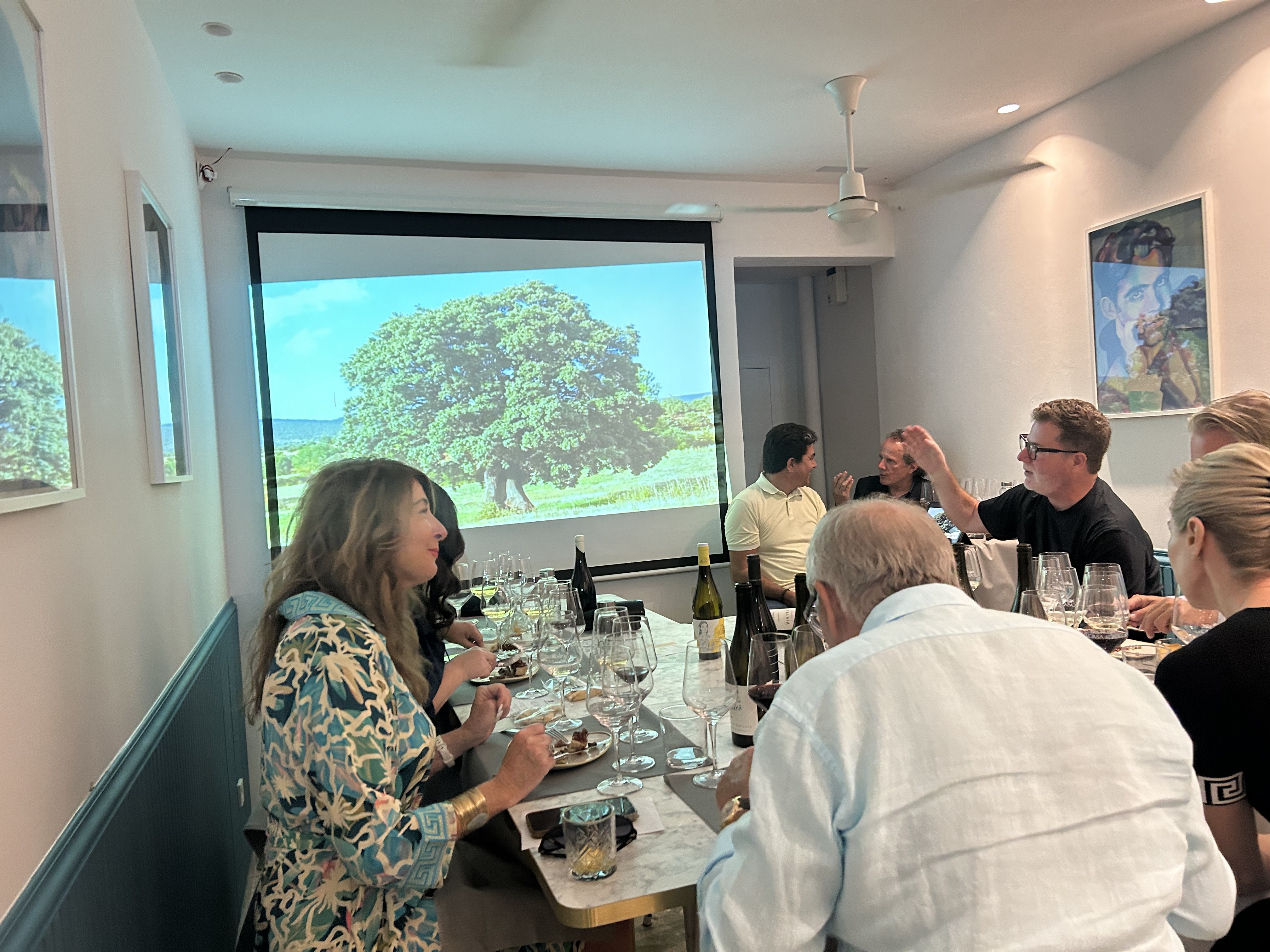 CATAS DE VINOS A DOMICILIO ESTEPONA