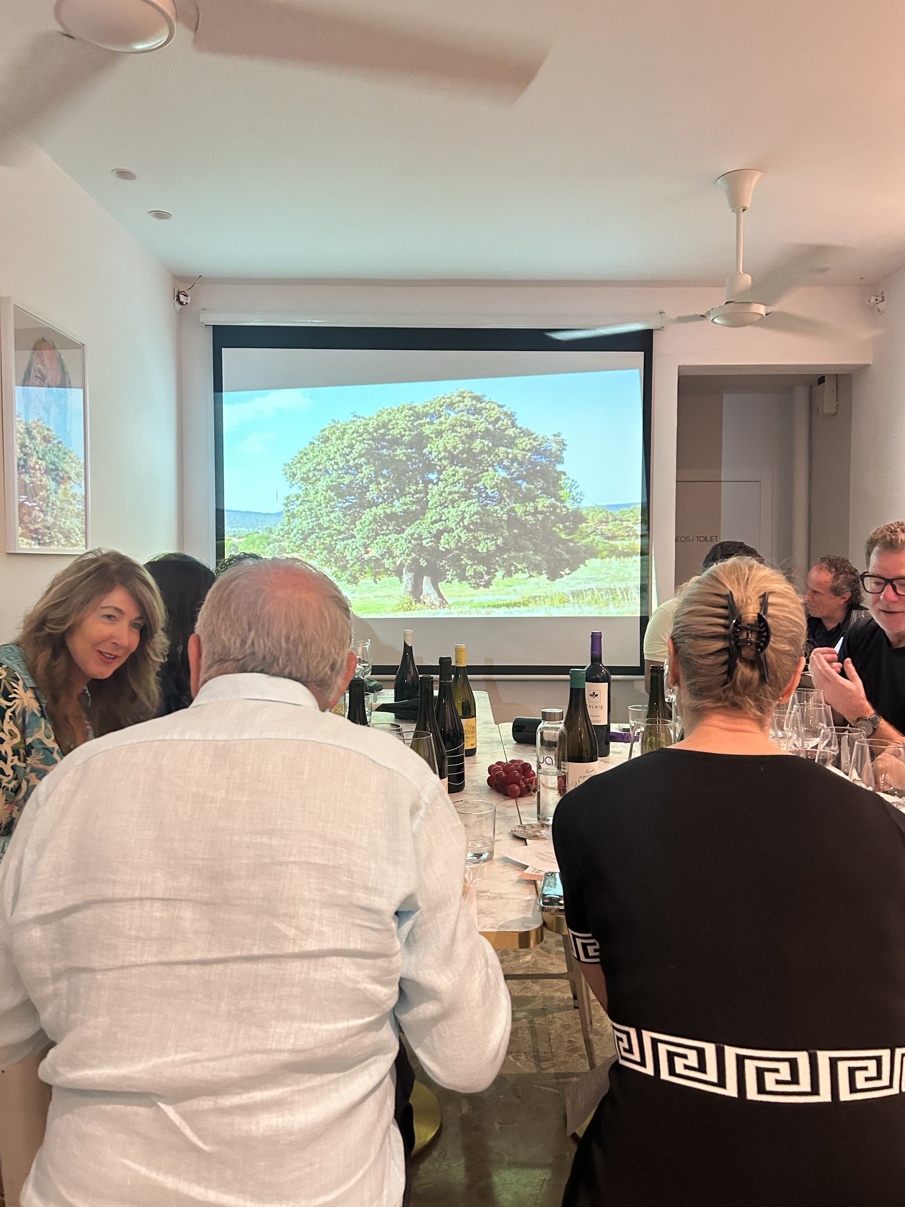 CATAS DE VINOS ESTEPONA