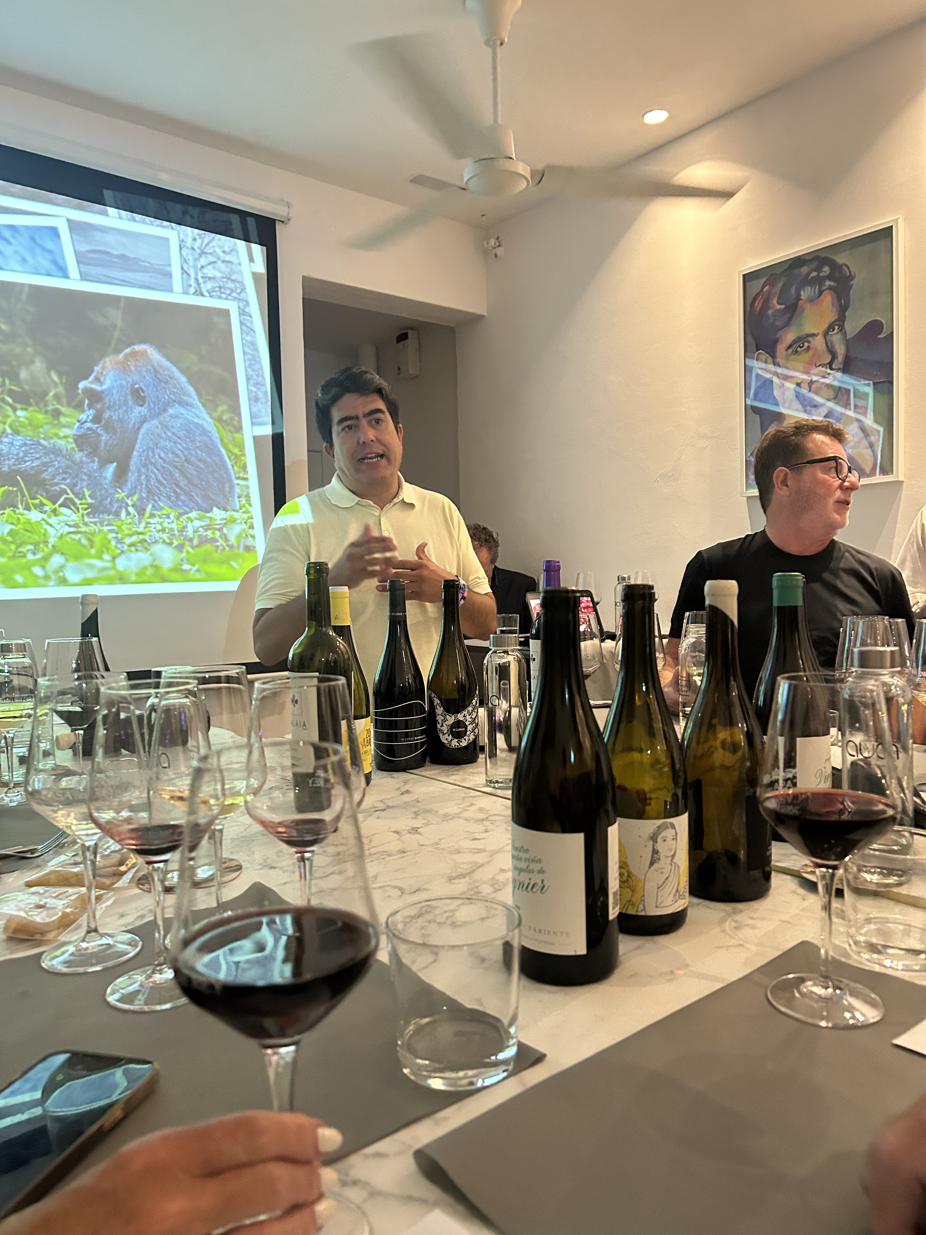 CATAS DE VINOS EN ESTEPONA