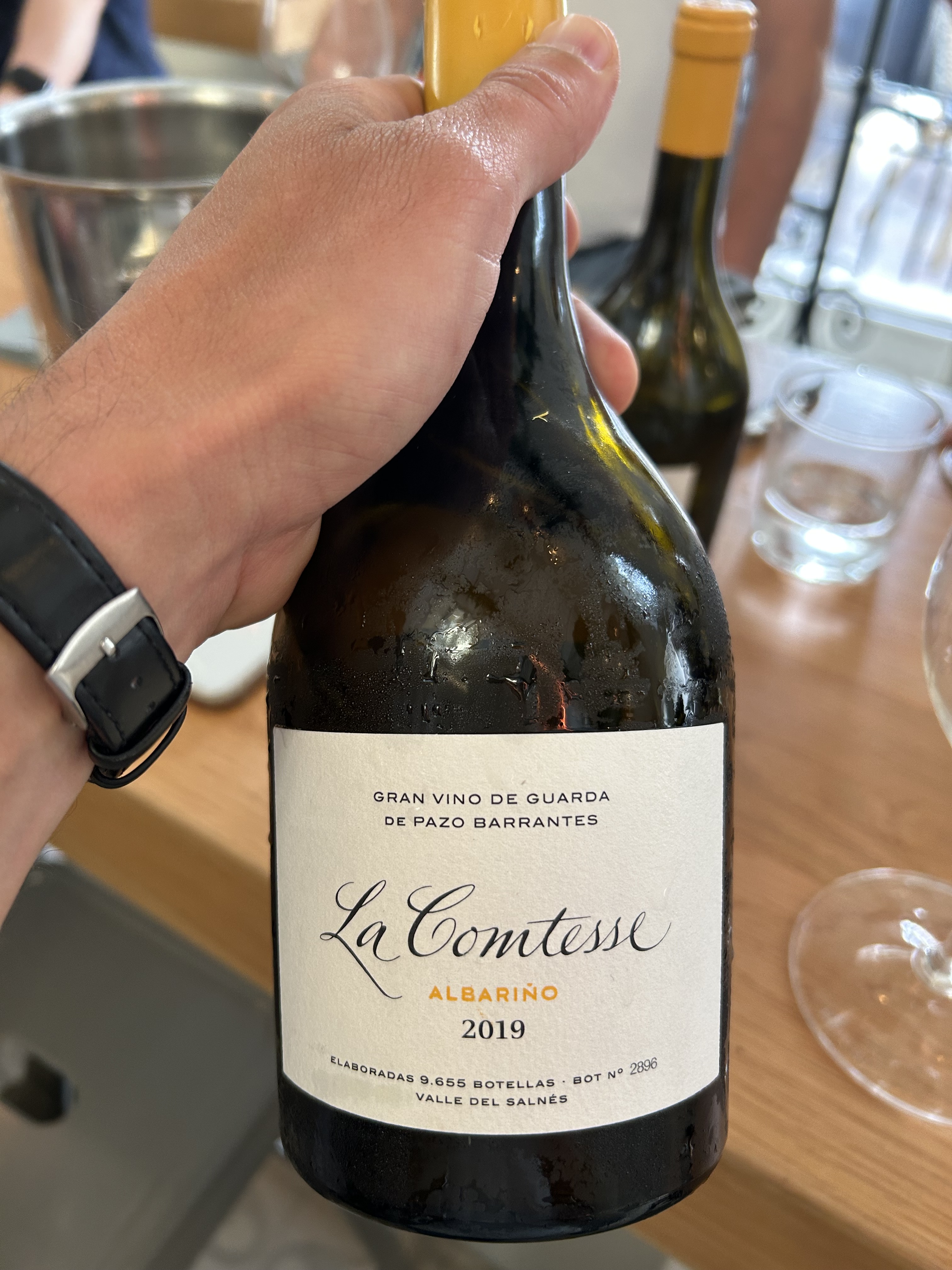 CATAS DE VINOS CON MARIDAJE