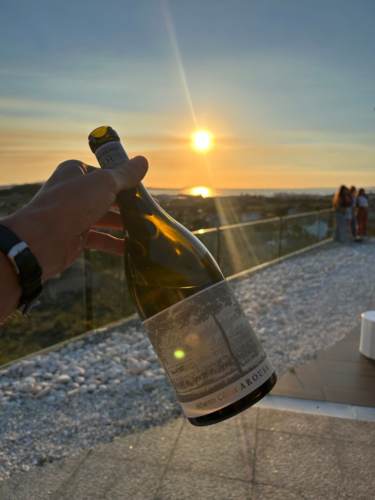 Experiencias en Estepona