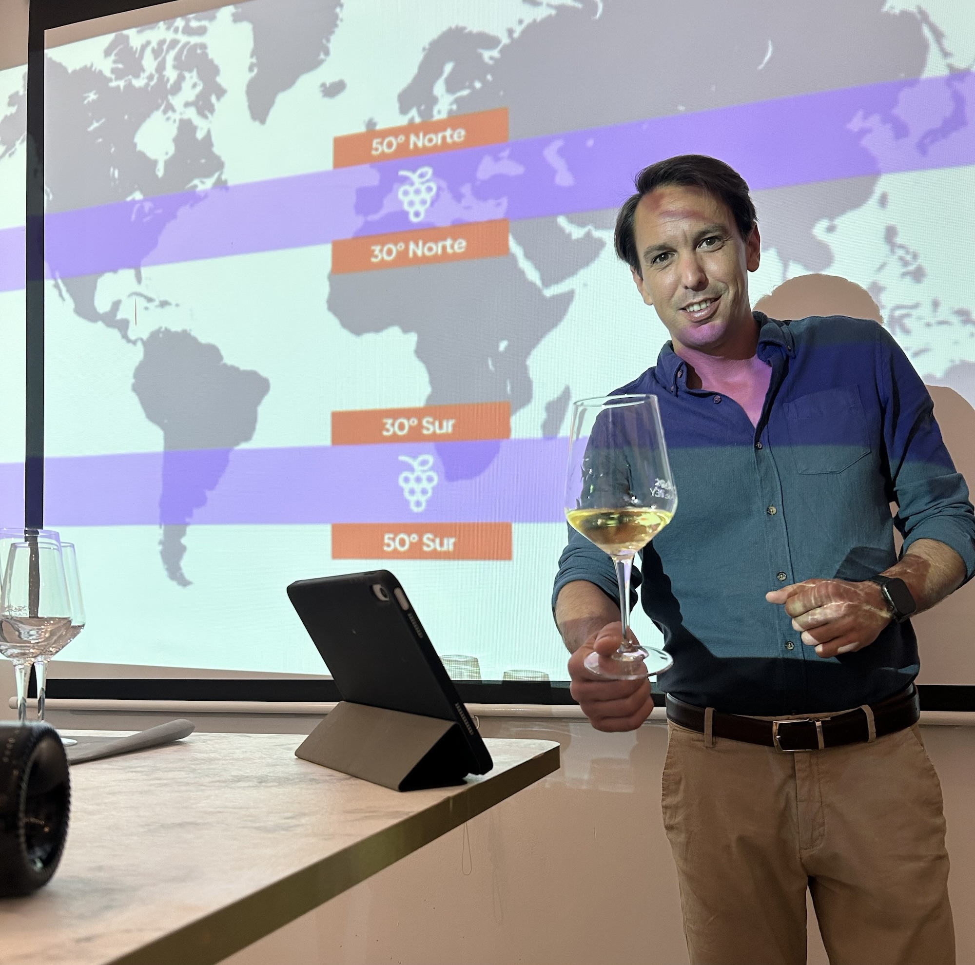 Catas de vinos en Estepona