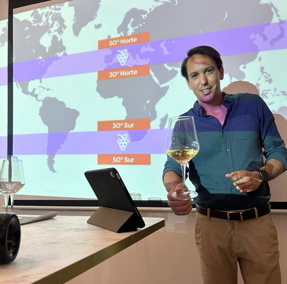 Catas de vinos en Estepona