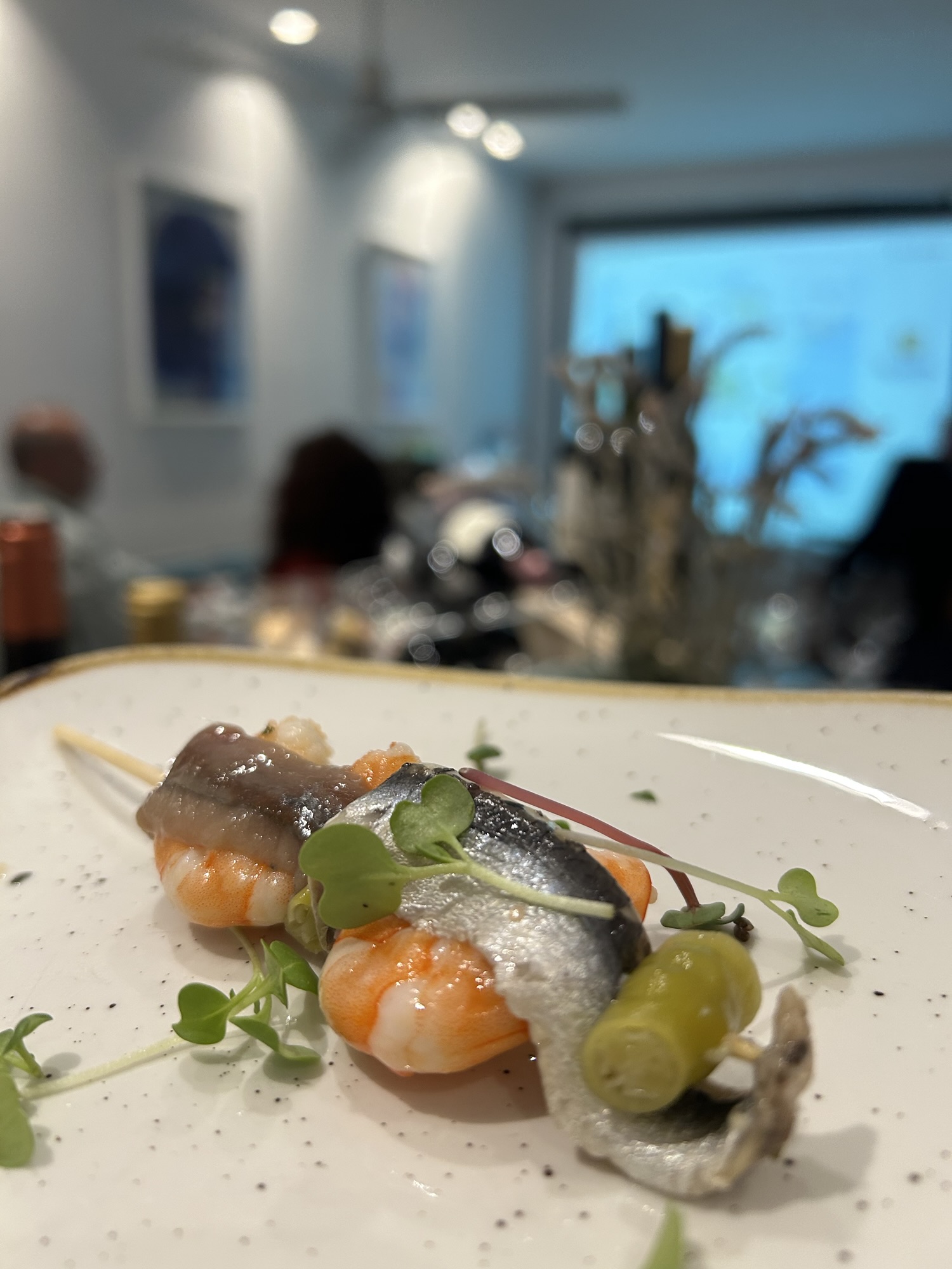 EXPERIENCES IN ESTEPONA